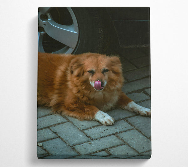  A Canvas Print of Golden Paw Prints Canvas Wall Art