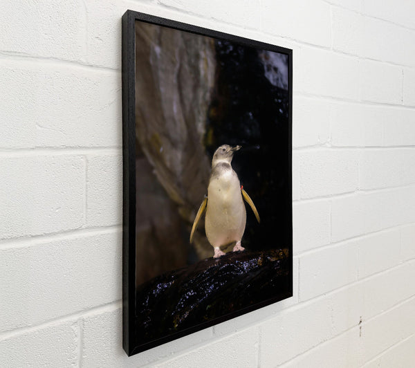 Pale Yellow Penguin