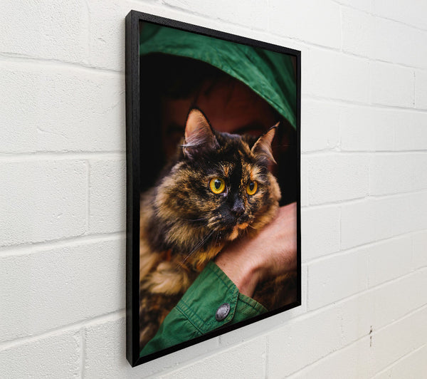 Green Cat'S Gaze