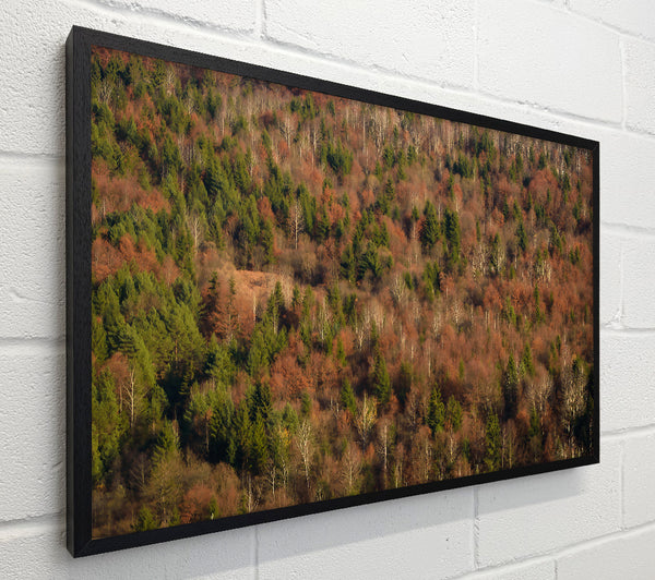 Rustling Autumn Woods