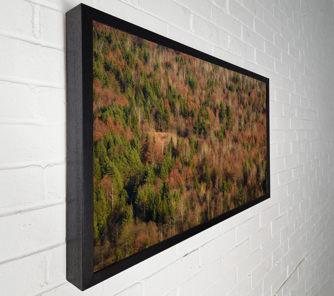  A Canvas Print of Rustling Autumn Woods Canvas Art