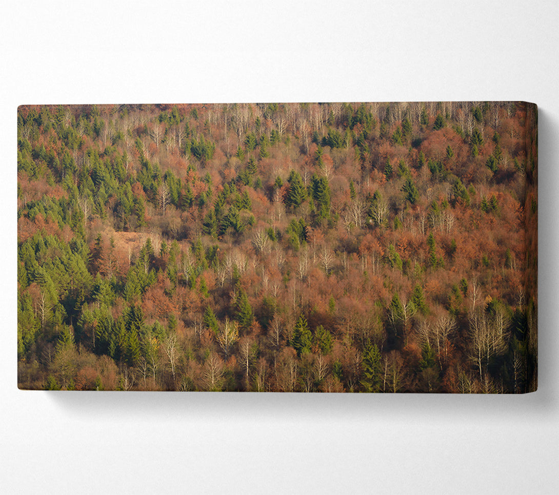  A Canvas Print of Rustling Autumn Woods Canvas Art