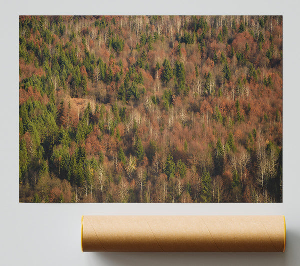 Rustling Autumn Woods Print