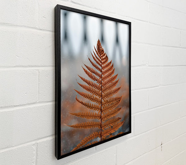 Golden Fern Frond