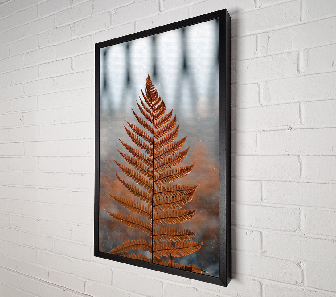  A Canvas Print of Golden Fern Frond Canvas Print