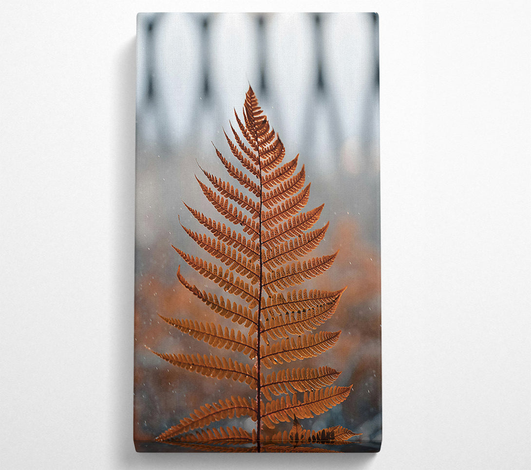  A Canvas Print of Golden Fern Frond Canvas Print