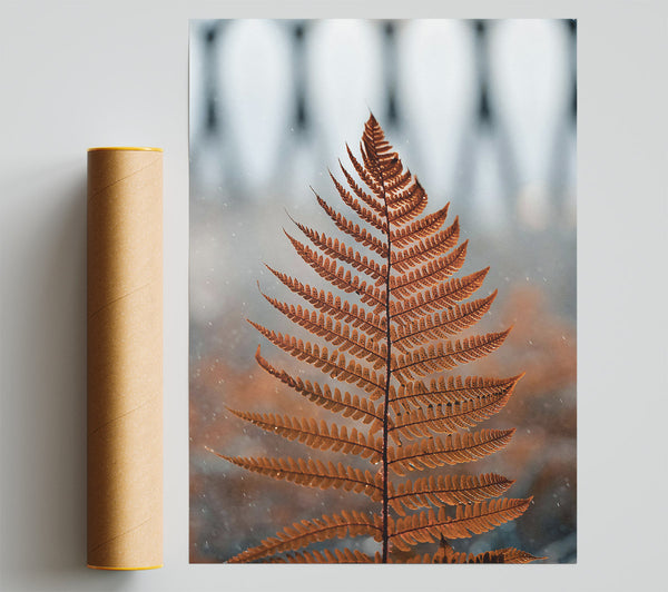 Golden Fern Frond Poster