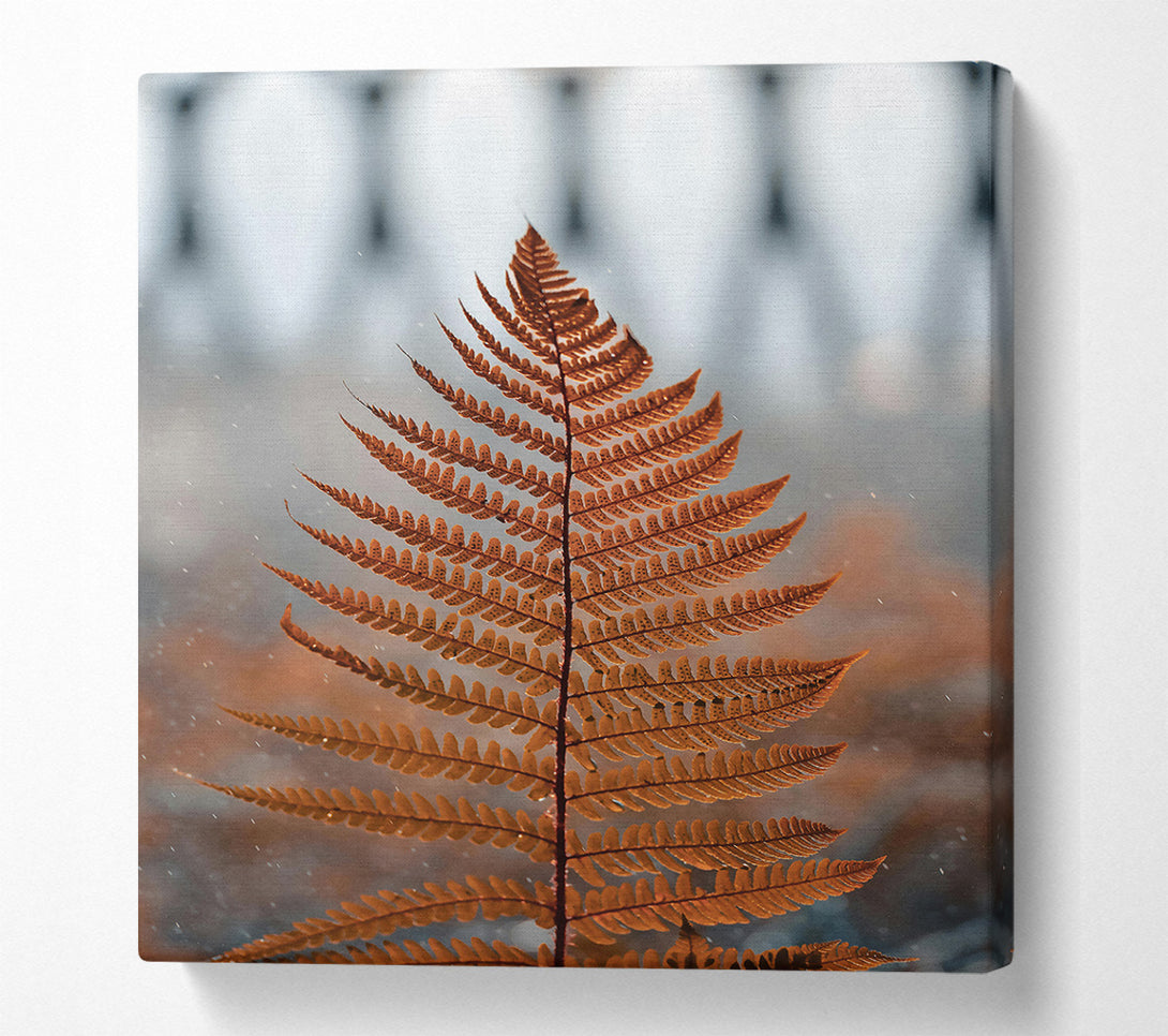  A Canvas Print of Golden Fern Frond Canvas Print