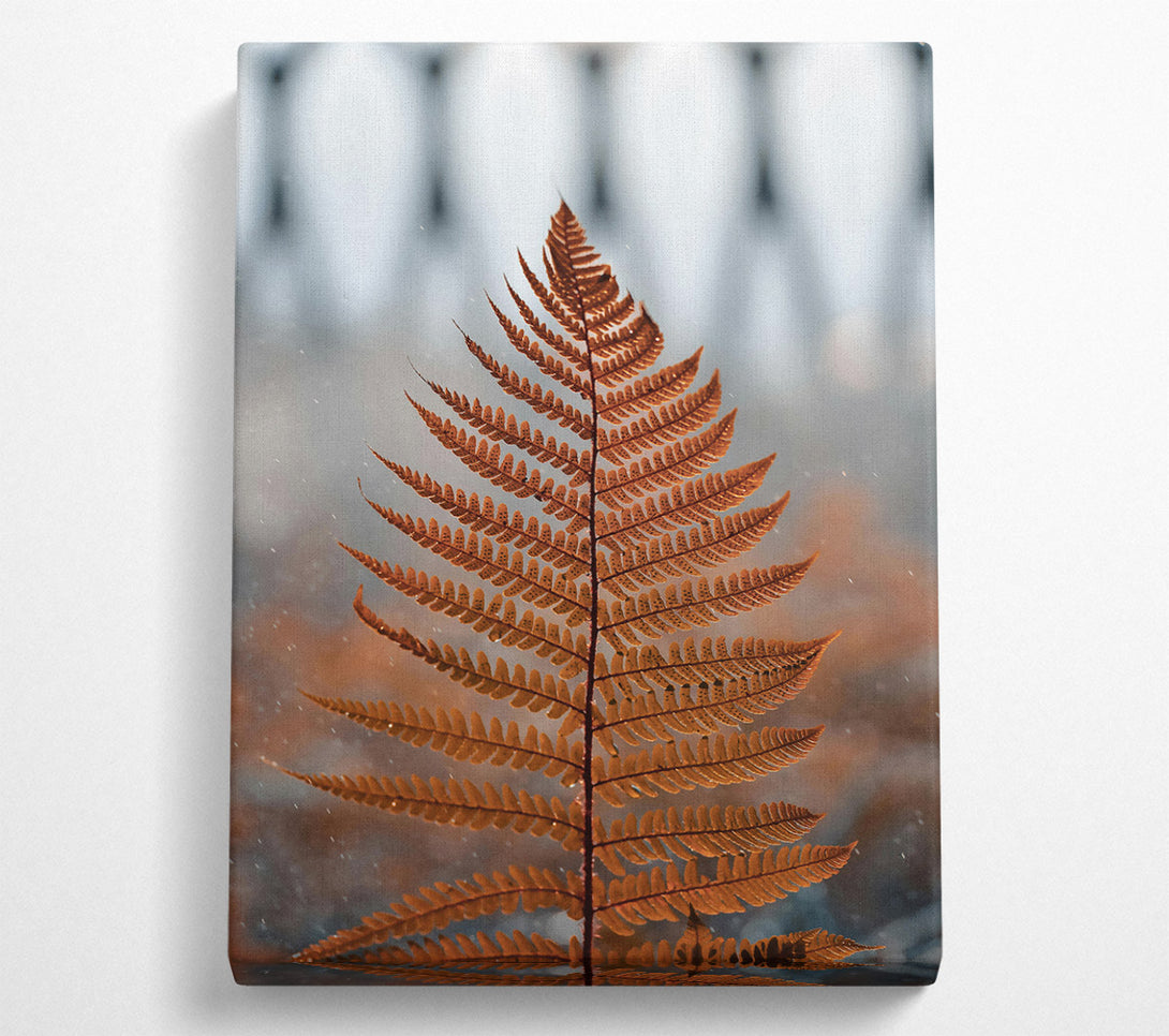  A Canvas Print of Golden Fern Frond Canvas Print