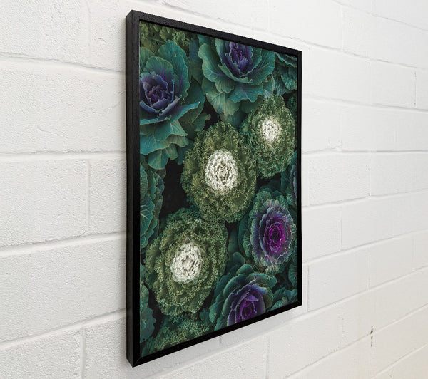 Purple And Green Bloom
