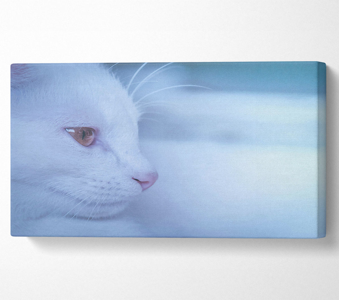  A Canvas Print of Pale Blue Gaze Canvas Art
