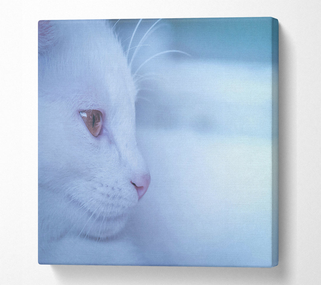  A Canvas Print of Pale Blue Gaze Canvas Art