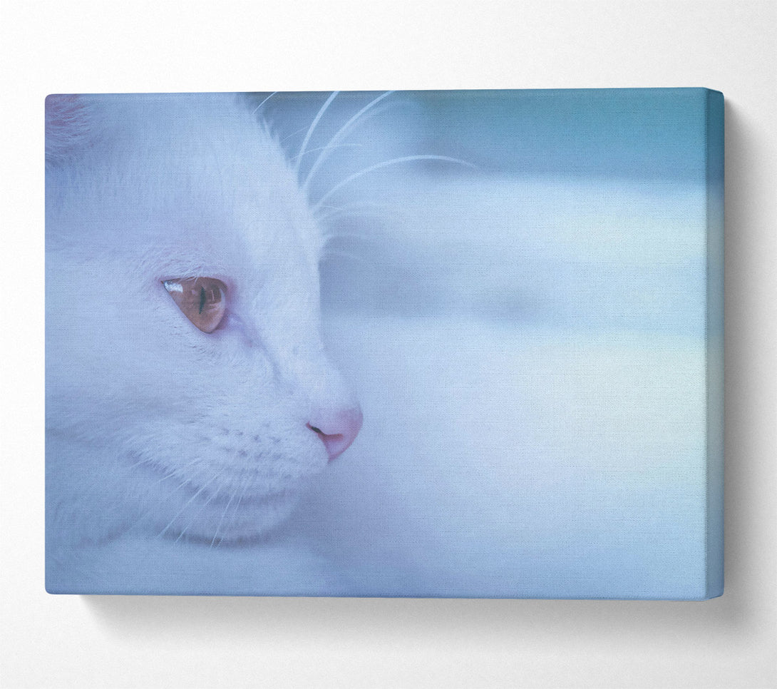  A Canvas Print of Pale Blue Gaze Canvas Art