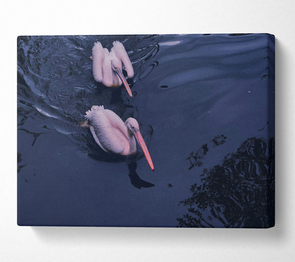  A Canvas Print of Indigo Pelicans Canvas Art