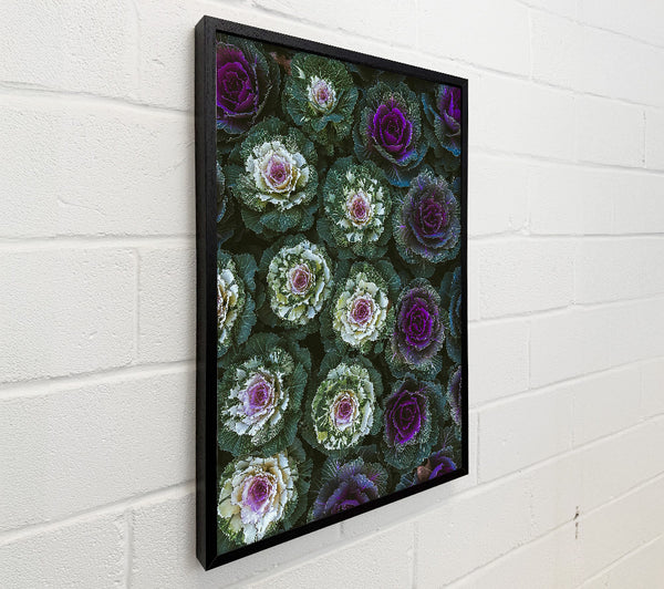 Purple Kaleidoscope Garden