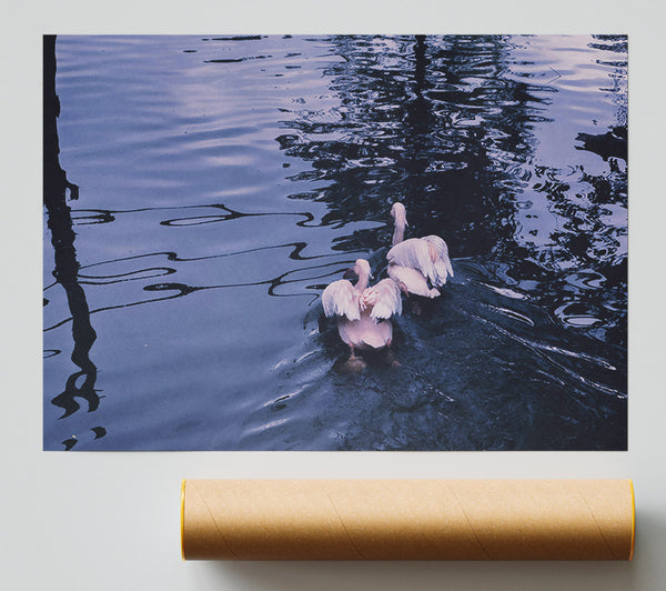 Indigo Water Birds Giclee Print