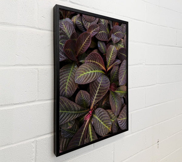 Burgundy Leaf Patterns