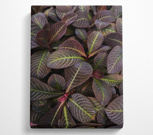  A Canvas Print of Burgundy Leaf Patterns Canvas Wall Art
