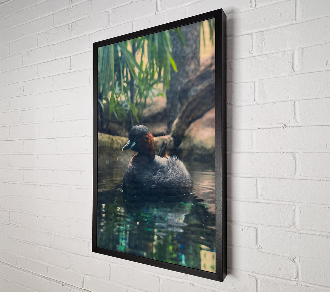  A Canvas Print of Teal Duckling'S Gaze Canvas Art