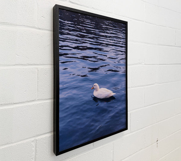 Blue Solitude Duck