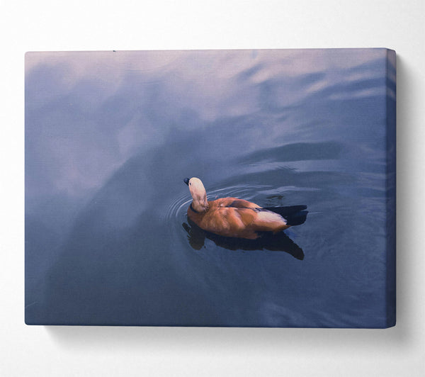 A Canvas Print of Azure Duck Serenity Canvas Art