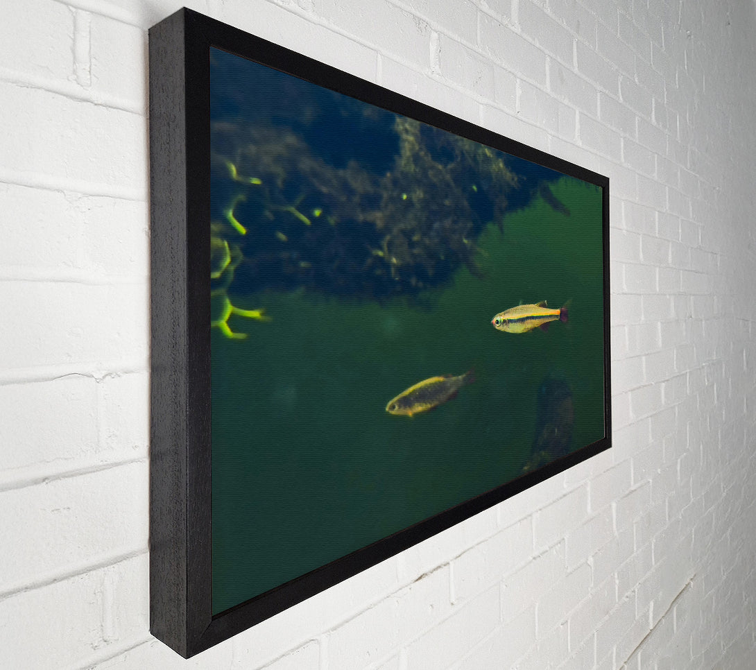  A Canvas Print of Green Water Fish Canvas Wall Art