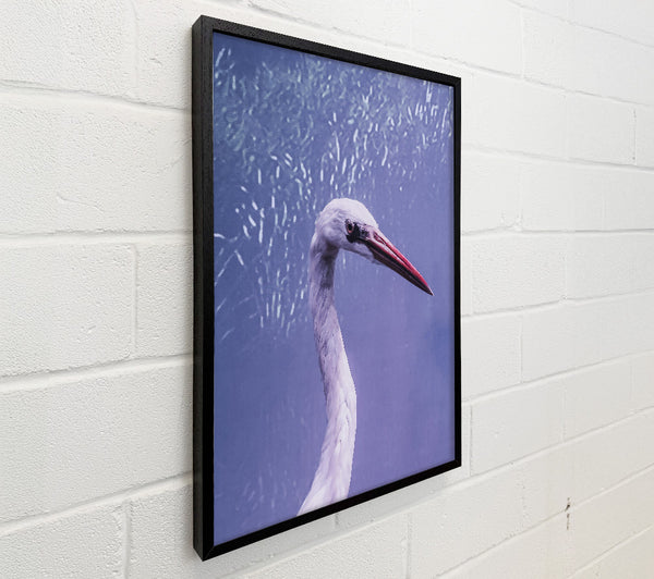 Lavender Heron Grace