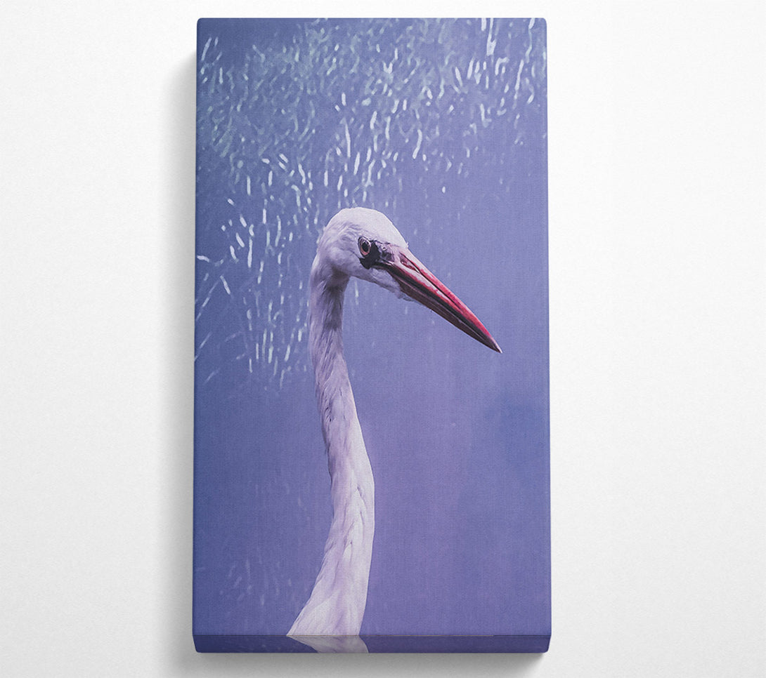  A Canvas Print of Lavender Heron Grace Canvas Art