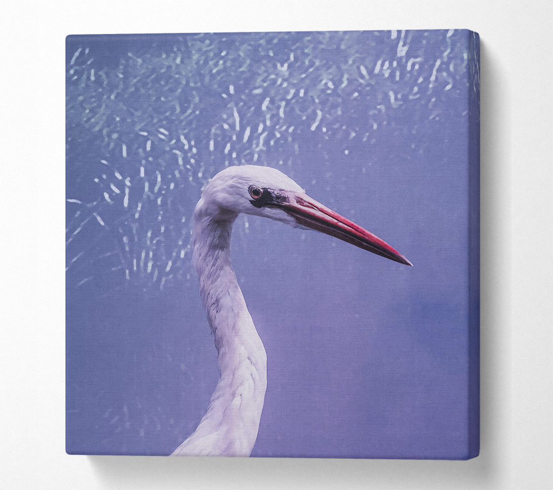 A Canvas Print of Lavender Heron Grace Canvas Art