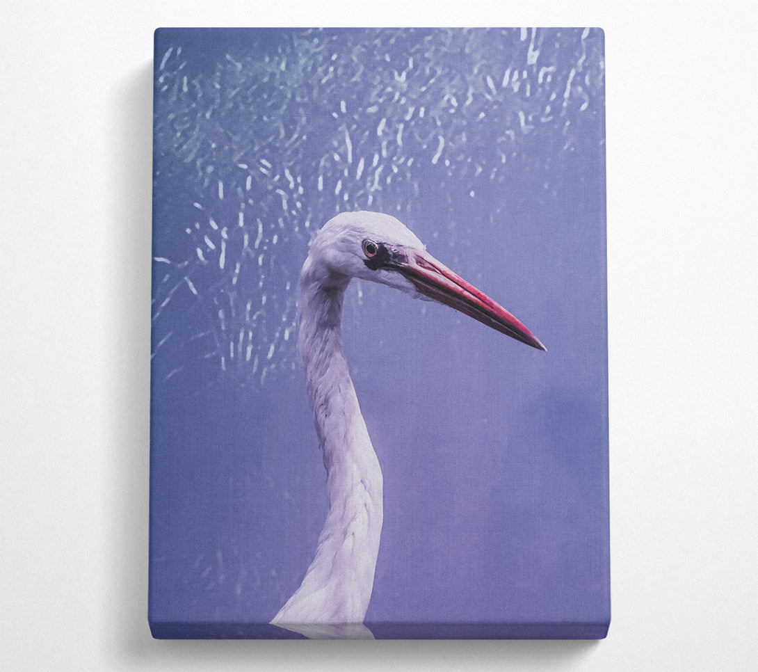  A Canvas Print of Lavender Heron Grace Canvas Art