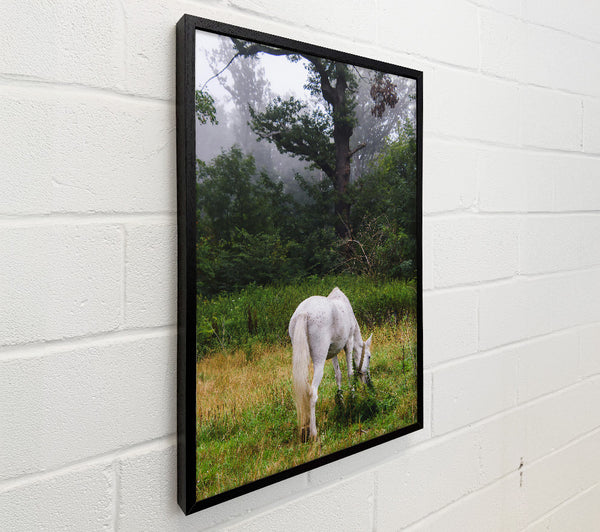 White Horse In The Mist
