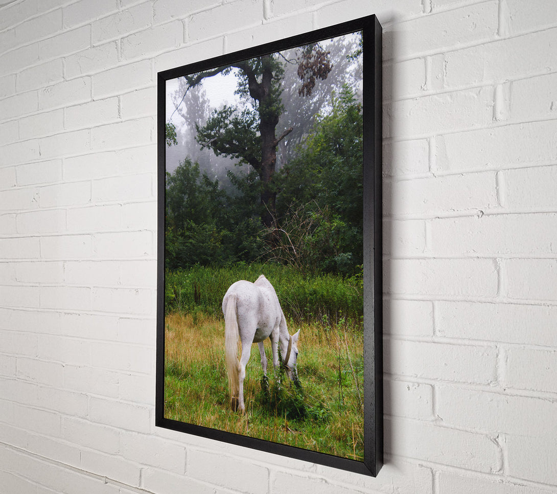  A Canvas Print of White Horse In The Mist Canvas Wall Art