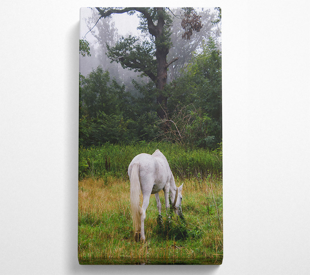 A Canvas Print of White Horse In The Mist Canvas Wall Art