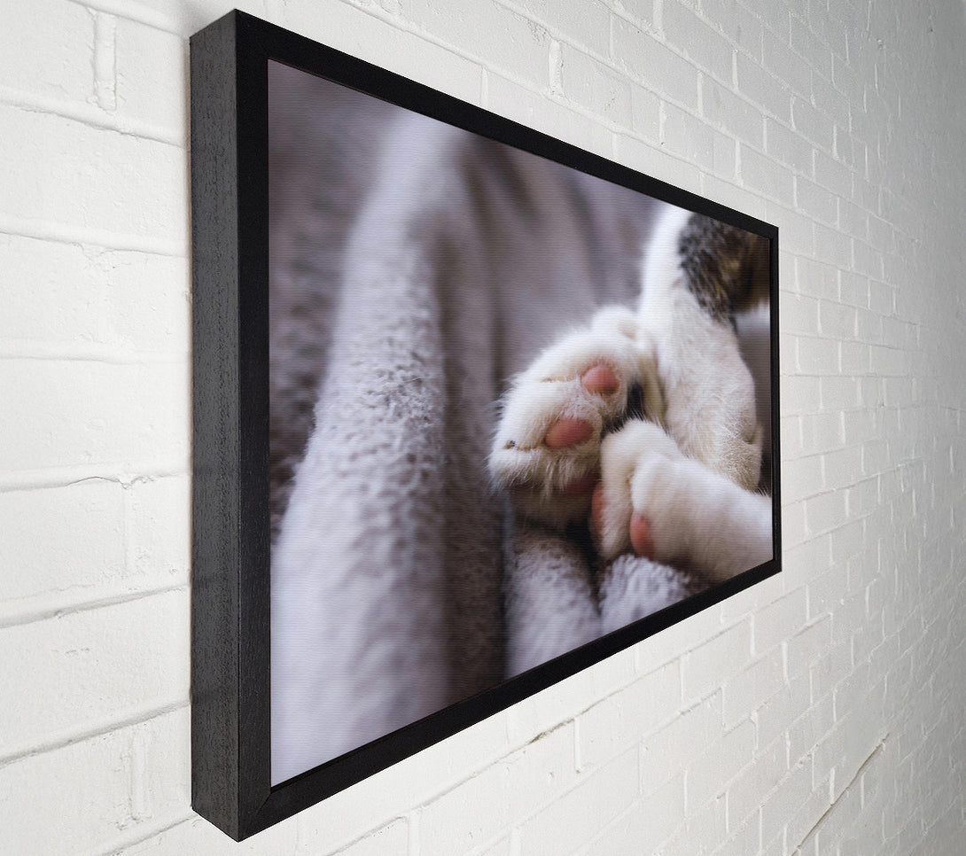  A Canvas Print of White Paws Resting Canvas Wall Art