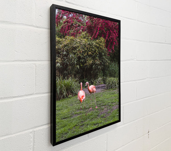 Pink Flamingo Sojourn