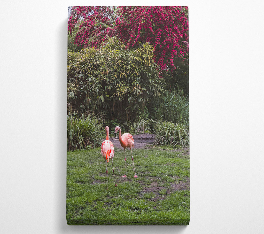  A Canvas Print of Pink Flamingo Sojourn Canvas Art