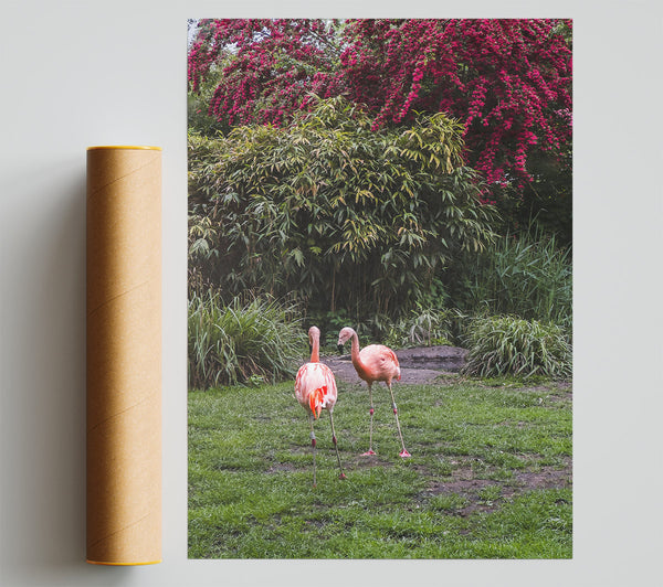 Pink Flamingo Sojourn Poster