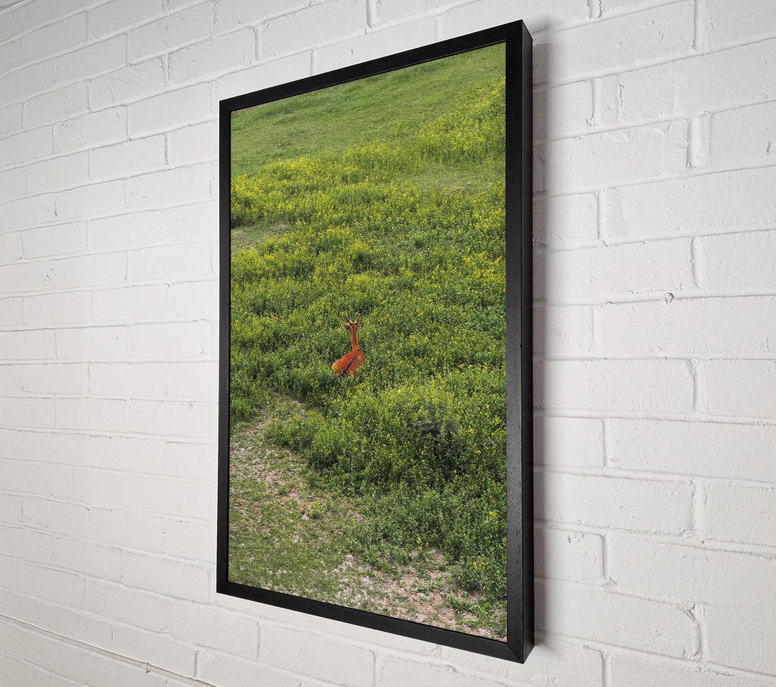  A Canvas Print of Hidden Brown Deer Canvas Wall Art