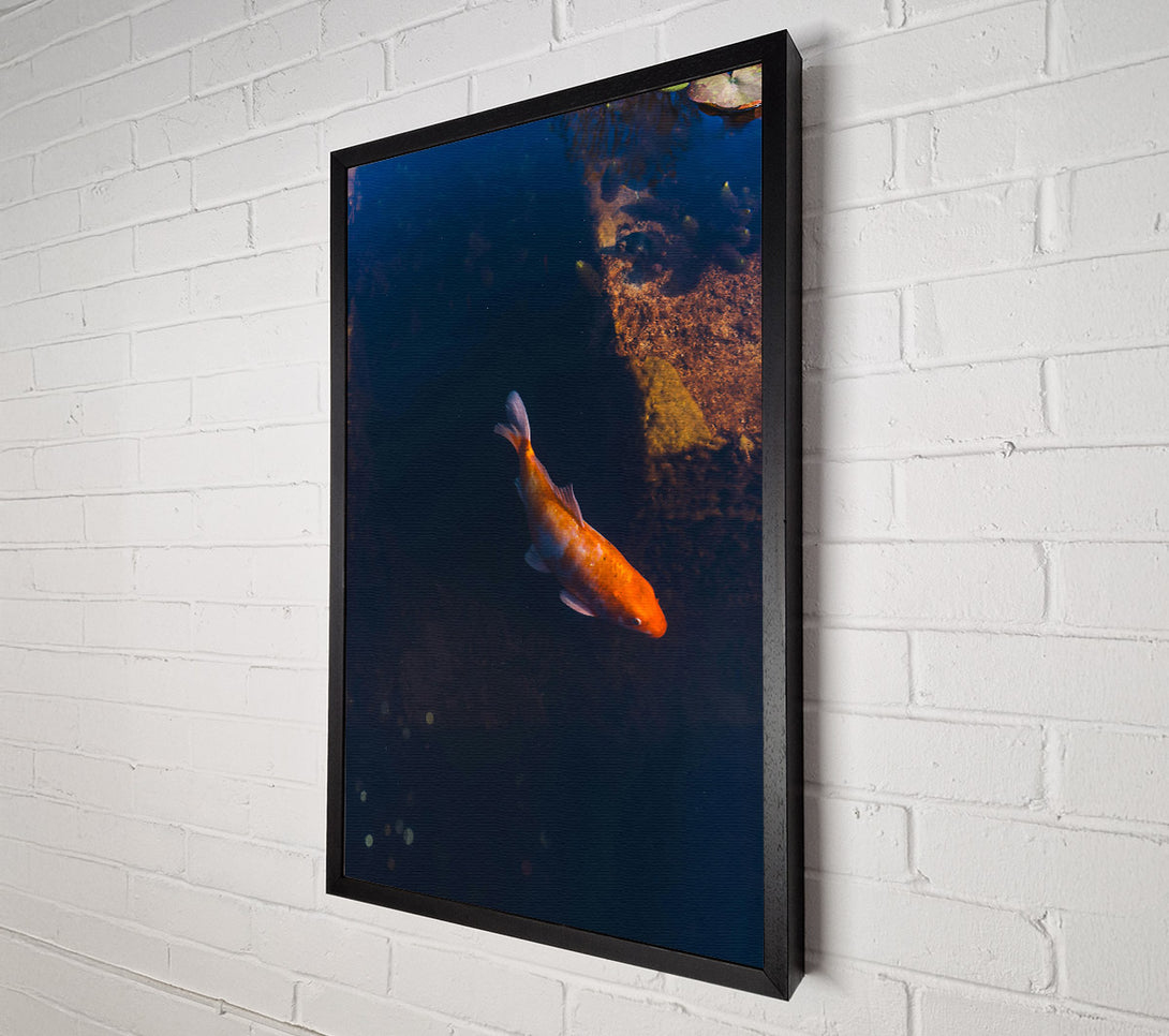  A Canvas Print of Orange Koi In Blue Water Canvas Wall Art