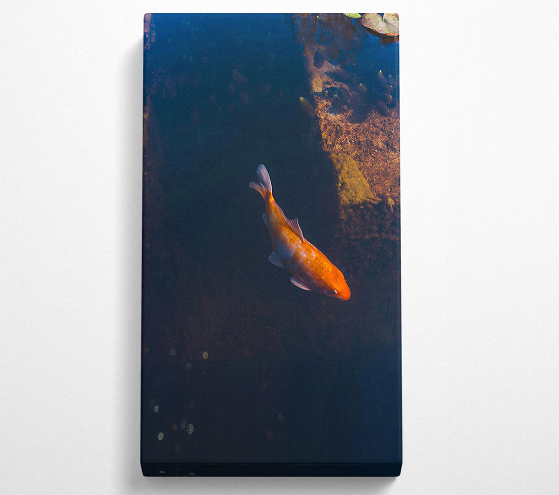  A Canvas Print of Orange Koi In Blue Water Canvas Wall Art