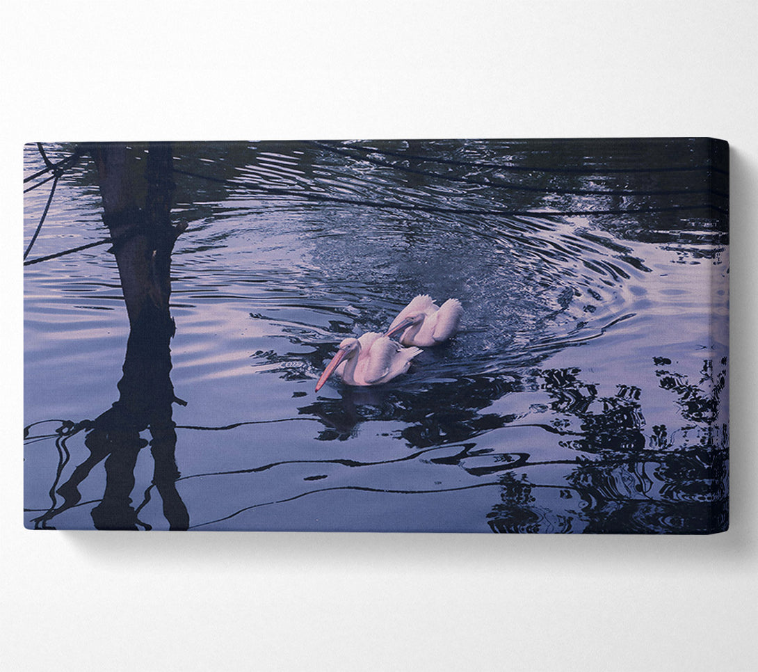  A Canvas Print of Indigo Water Pelicans Canvas Art