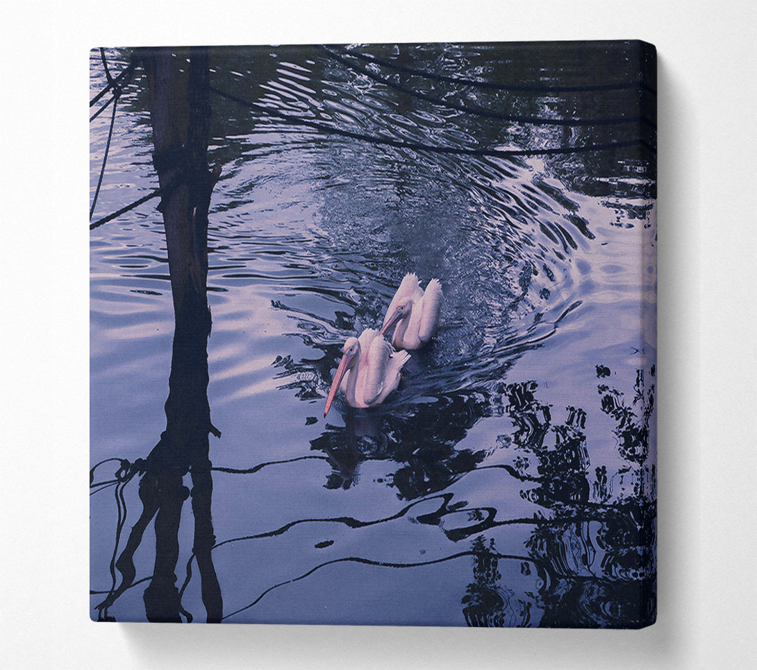  A Canvas Print of Indigo Water Pelicans Canvas Art