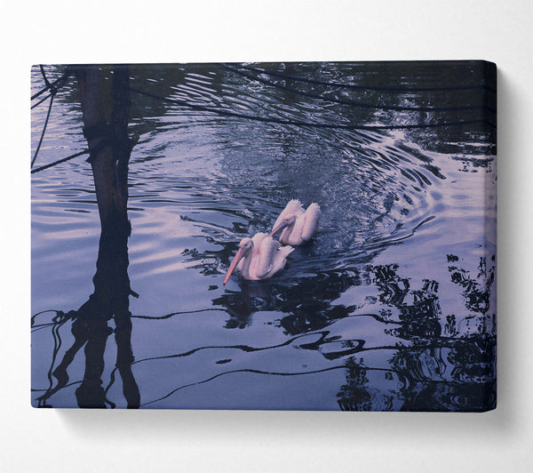  A Canvas Print of Indigo Water Pelicans Canvas Art