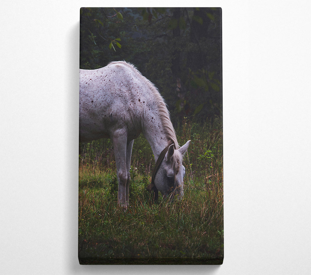  A Canvas Print of White Horse Grazing Green Canvas Print