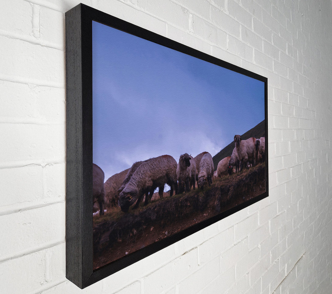  A Canvas Print of Blue Dusk Flock Canvas Wall Art