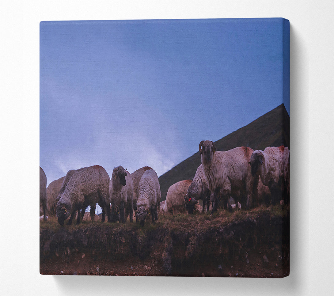  A Canvas Print of Blue Dusk Flock Canvas Wall Art