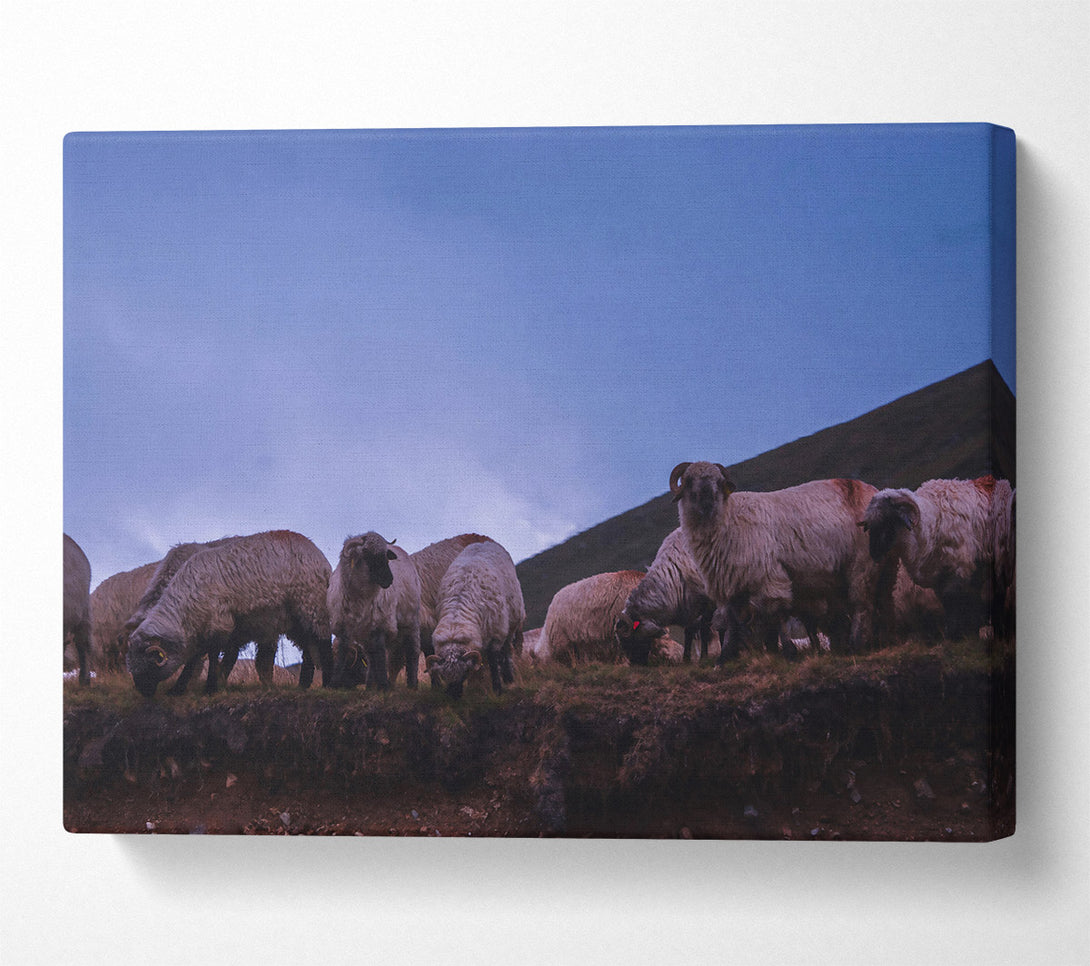  A Canvas Print of Blue Dusk Flock Canvas Wall Art