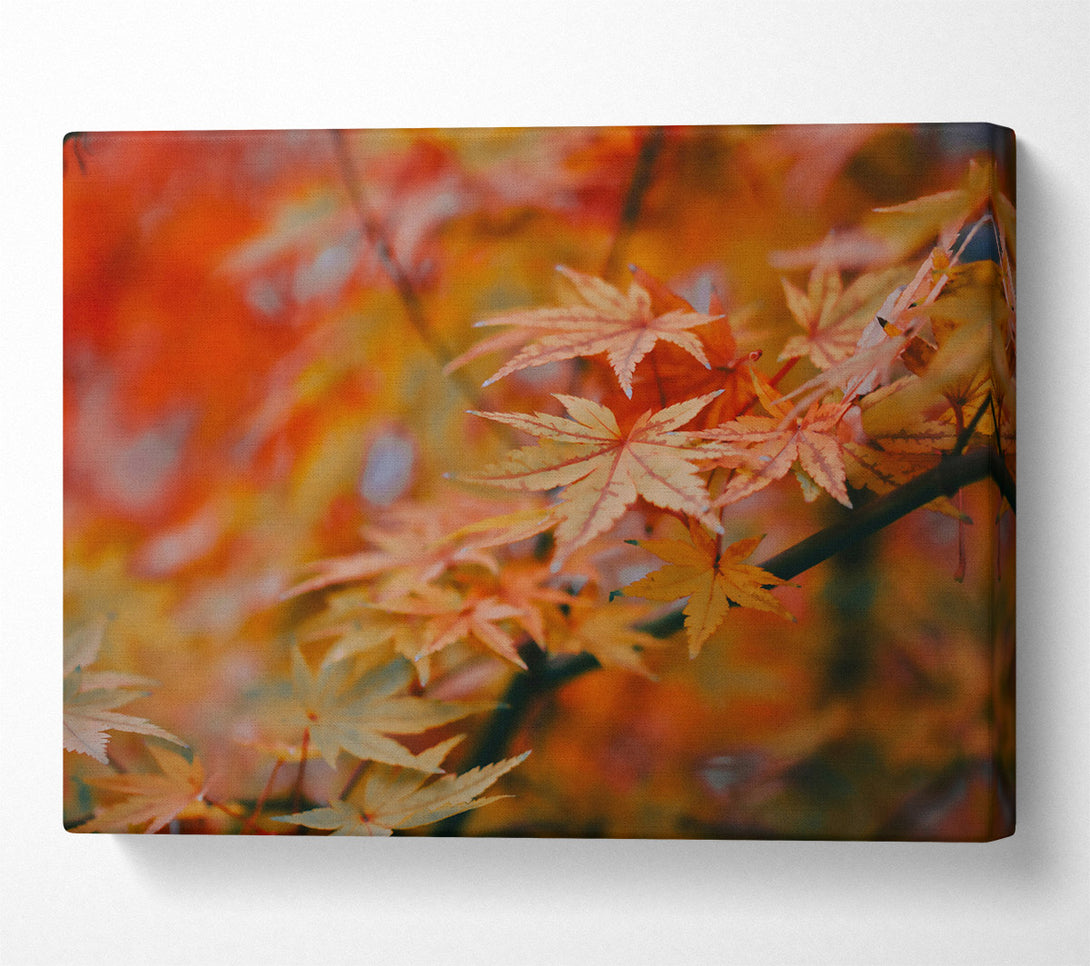  A Canvas Print of Golden Autumn Leaves Canvas Wall Art