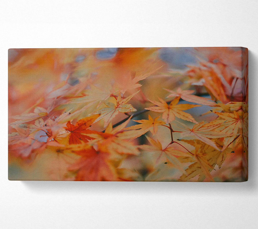  A Canvas Print of Golden Maple Leaves Canvas Wall Art