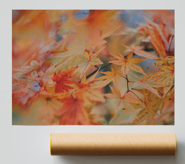 Golden Maple Leaves Poster